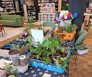 Plantjesmarkt Westekwartier vierkant